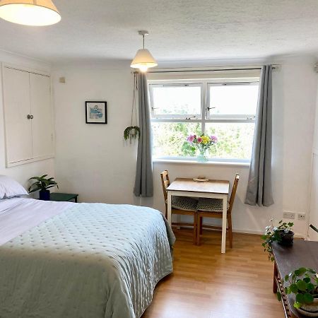 Bright And Comfortable Studio Apartment 런던 외부 사진