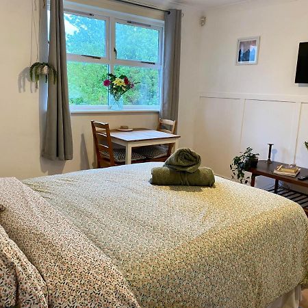 Bright And Comfortable Studio Apartment 런던 외부 사진